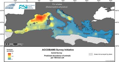 Distribution patterns of marine megafauna density in the Mediterranean Sea assessed through the ACCOBAMS Survey Initiative (ASI)